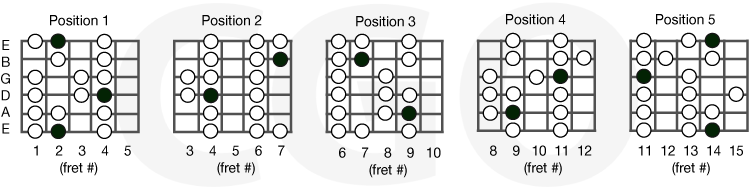 fb scale